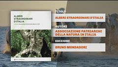Il Can-piello