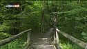 Lo spettacolo della natura