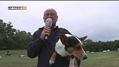L'educa-cani