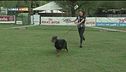 L'educa-cani