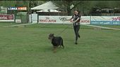 L'educa-cani