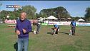 L'Educa-cani