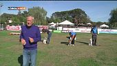 L'Educa-cani