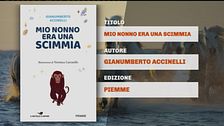 Il Can-piello