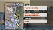 Il Can-piello