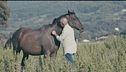 La guida equestre naturale