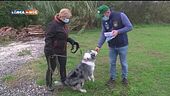 L'educa-cani