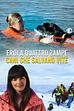 Eroi a quattro zampe: Cani che salvano vite