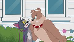 Errore gatt-astrofico