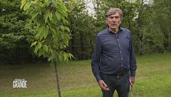 Le origini dell'azienda