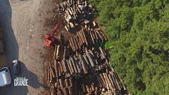 Maurizio Riva: la seconda vita del legno