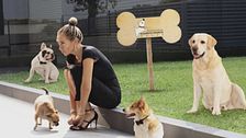 Elisabetta Franchi:  l'emblema di una donna di successo