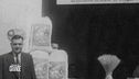 Giuseppe Di Martino: le origini dell'azienda