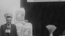 Giuseppe Di Martino: le origini dell'azienda