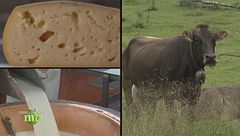 Puntata del 2 febbraio