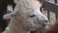 Puntata del 23 febbraio