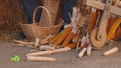 Puntata dell'1 marzo