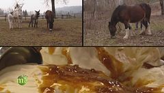 Puntata dell'8 marzo