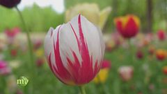 Puntata del 13 settembre