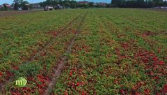 Puntata del 20 settembre