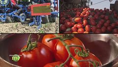 Puntata del 20 settembre