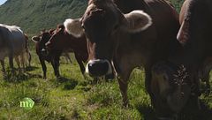 Puntata dell'11 ottobre