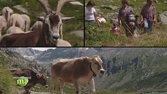 Puntata del 25 ottobre