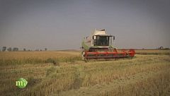 Puntata dell'8 novembre