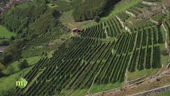 Puntata del 22 novembre