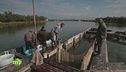 Delta del Po