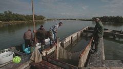 Delta del Po