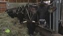Azienda agricola di eccellenza