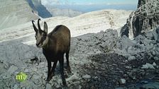 Il progetto dei biomiti