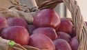 Frutta in fiore