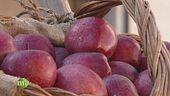 Frutta in fiore