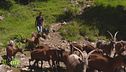 Un progetto per due fratelli