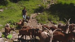 Un progetto per due fratelli