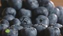 La coltivazione dei piccoli frutti
