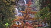 Acqua responsabile