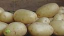Diverse varietà di patate