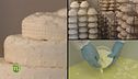Il formaggio Montebore