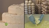 Il formaggio Montebore