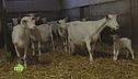 L'azienda agricola Prat di Bus