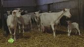 L'azienda agricola Prat di Bus
