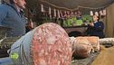Salumi bergamaschi