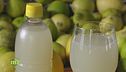 Il succo di limone