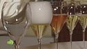 I vini della cantina Barisei