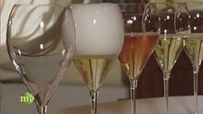 I vini della cantina Barisei