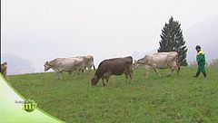 Puntata del 19 gennaio