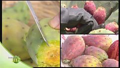 Puntata del 9 febbraio